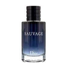 های کپی اروپایی عطر ادکلن دیور ساواج-ساوج-ساواژ | Dior Sauvage 100ml