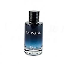 های کپی اروپایی عطر ادکلن دیور ساواج ادو پرفیوم | Dior Sauvage Eau de Parfum