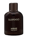 عطر ادکلن دولچه گابانا پورهوم اینتنسو مردانه شرکتی (Dolce & Gabbana Pour Homme intenso)