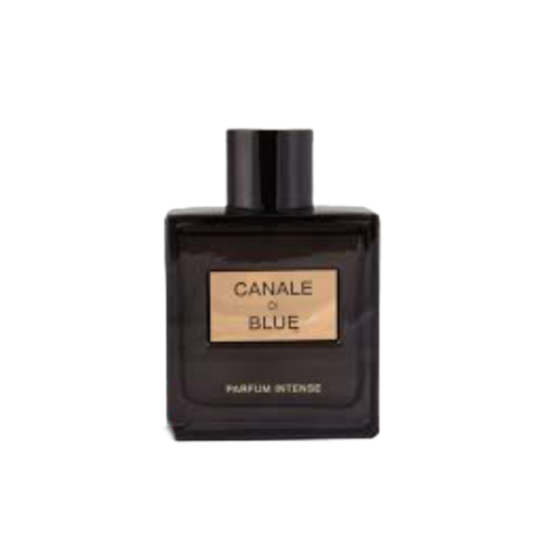 عطر ادکلن مردانه بلو شنل پرفیوم فراگرنس ورد کانال دی بلو پارفوم اینتنس (Fragrance World Chanel Bleu de Chanel Parfum)