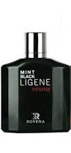 عطر ادکلن مردانه مونت بلنک لجند اینتنس روونا (Rovena Mont Blanc Legend Intense)