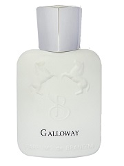 عطر ادکلن پارفومز د مارلی گالووی 33 میلی مردانه زنانه شرکتی ( Parfums de Marly Galloway )